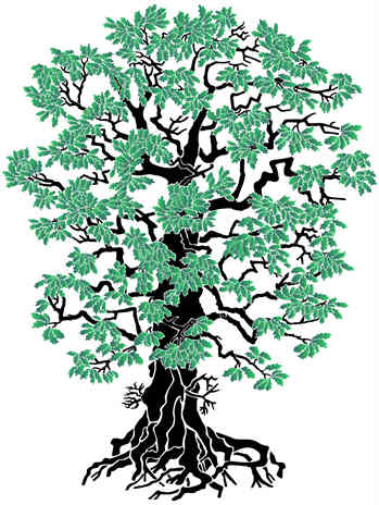 zeus oak tree symbol